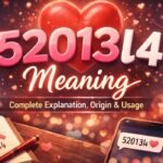 52013l4 Meaning